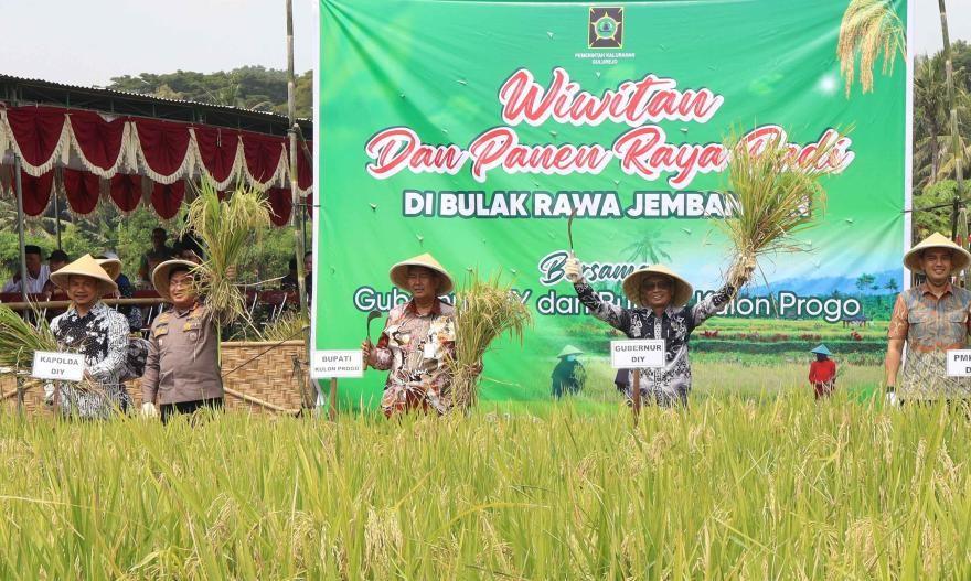 WIWITAN DAN PANEN RAYA PADI BERSAMA GUBERNUR DIY DAN BUPATI KULON PROGO DI GULUREJO